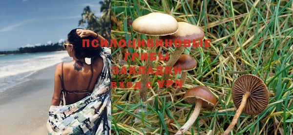 PSILOCYBIN Алексин