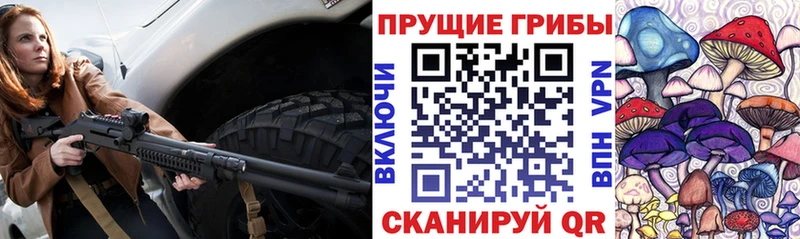 купить наркотики цена  Миллерово  OMG tor  Галлюциногенные грибы GOLDEN TEACHER 